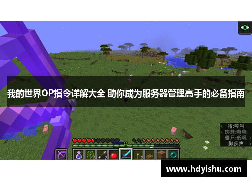 我的世界OP指令详解大全 助你成为服务器管理高手的必备指南