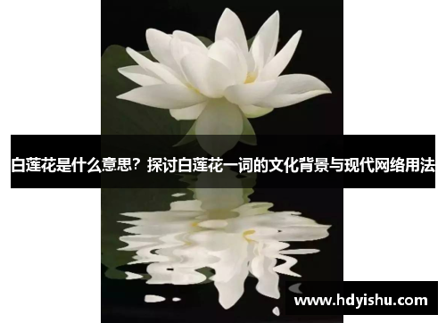 白莲花是什么意思？探讨白莲花一词的文化背景与现代网络用法
