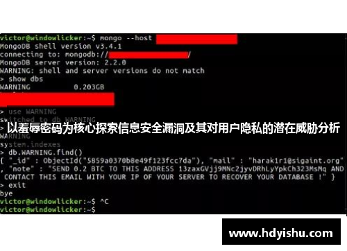 以羞辱密码为核心探索信息安全漏洞及其对用户隐私的潜在威胁分析